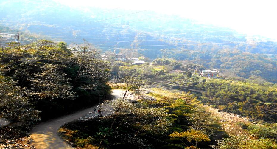 Delight The Fortuna, Gangtok 4